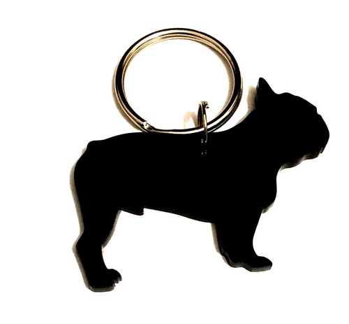French bulldog male dog - ,